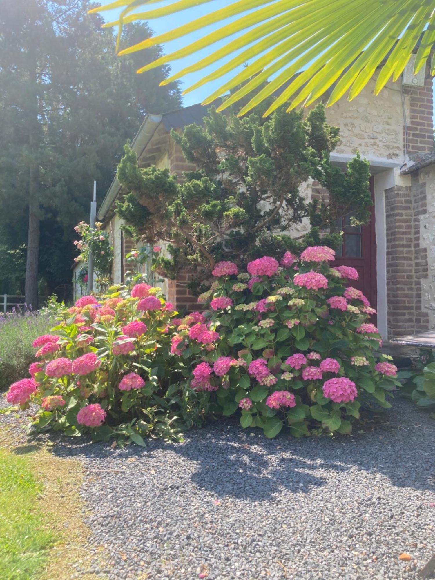 ホテル ロリド Amfreville-sur-Iton エクステリア 写真